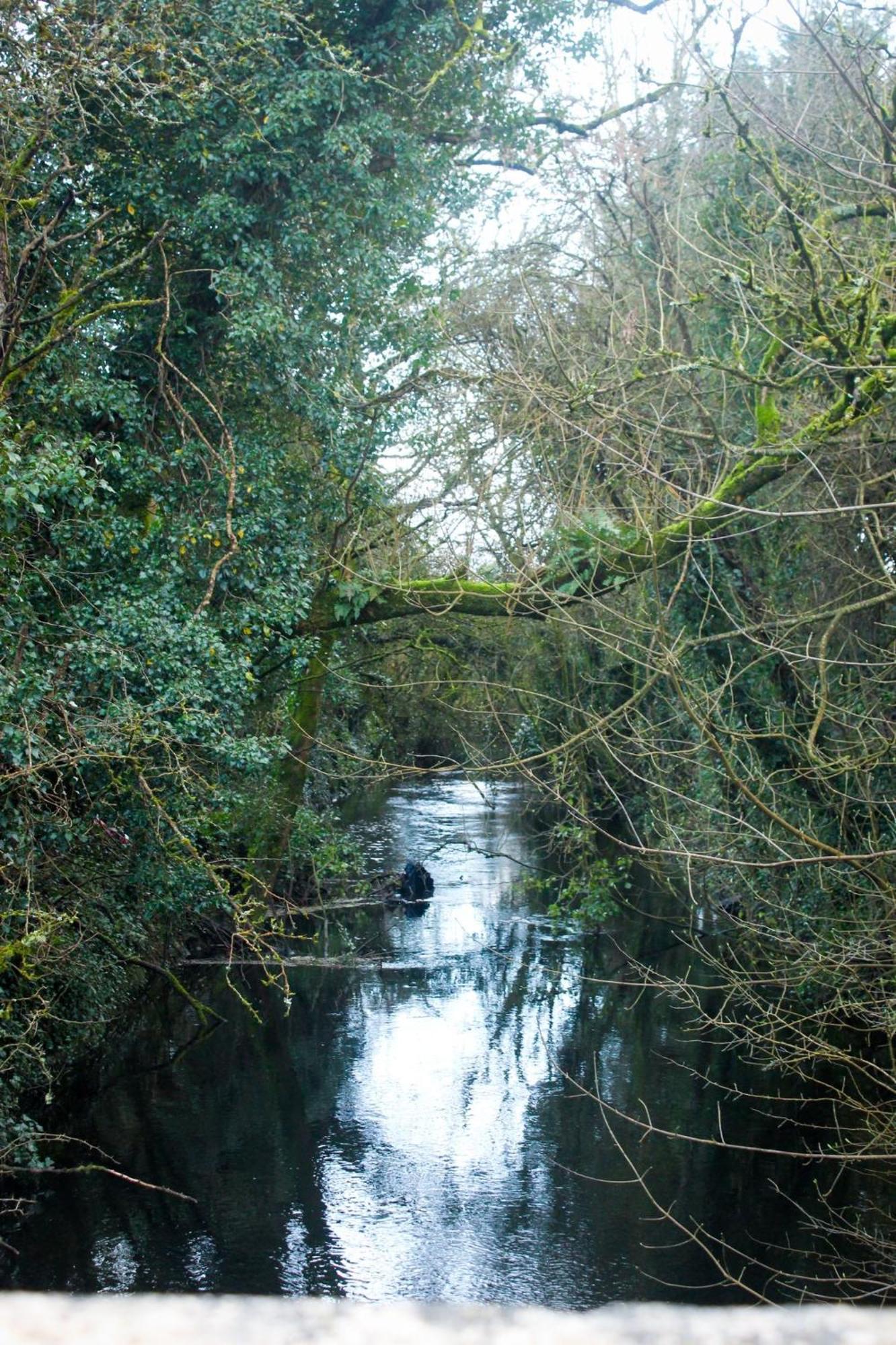 Riverside Cottage In The Burren Corofin  Экстерьер фото